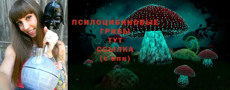 mega ссылка  Оленегорск  Псилоцибиновые грибы Psilocybe 